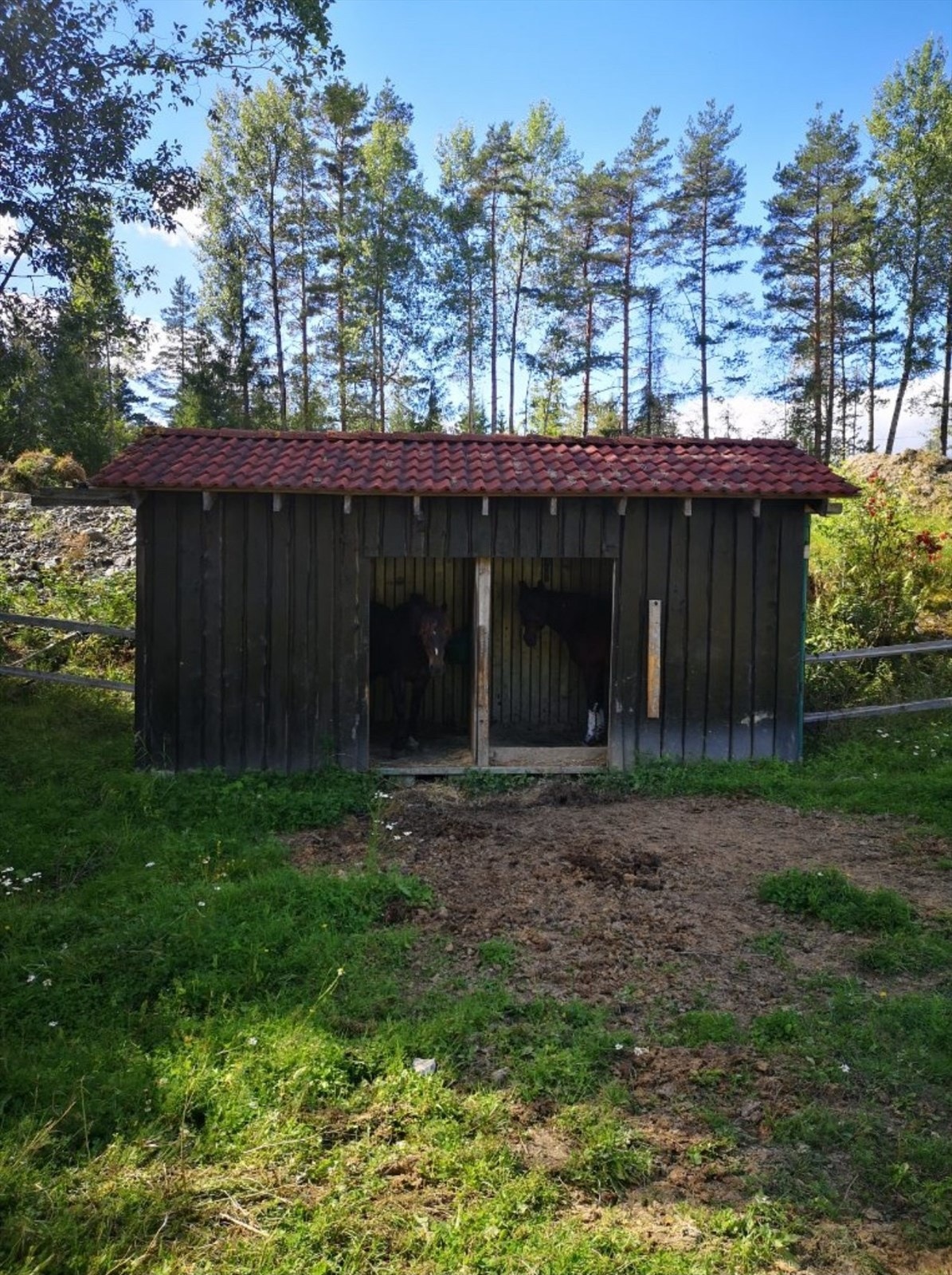 Containerstallen står på beiteområdet og måler ca 2,5x6 meter. Galleribilde