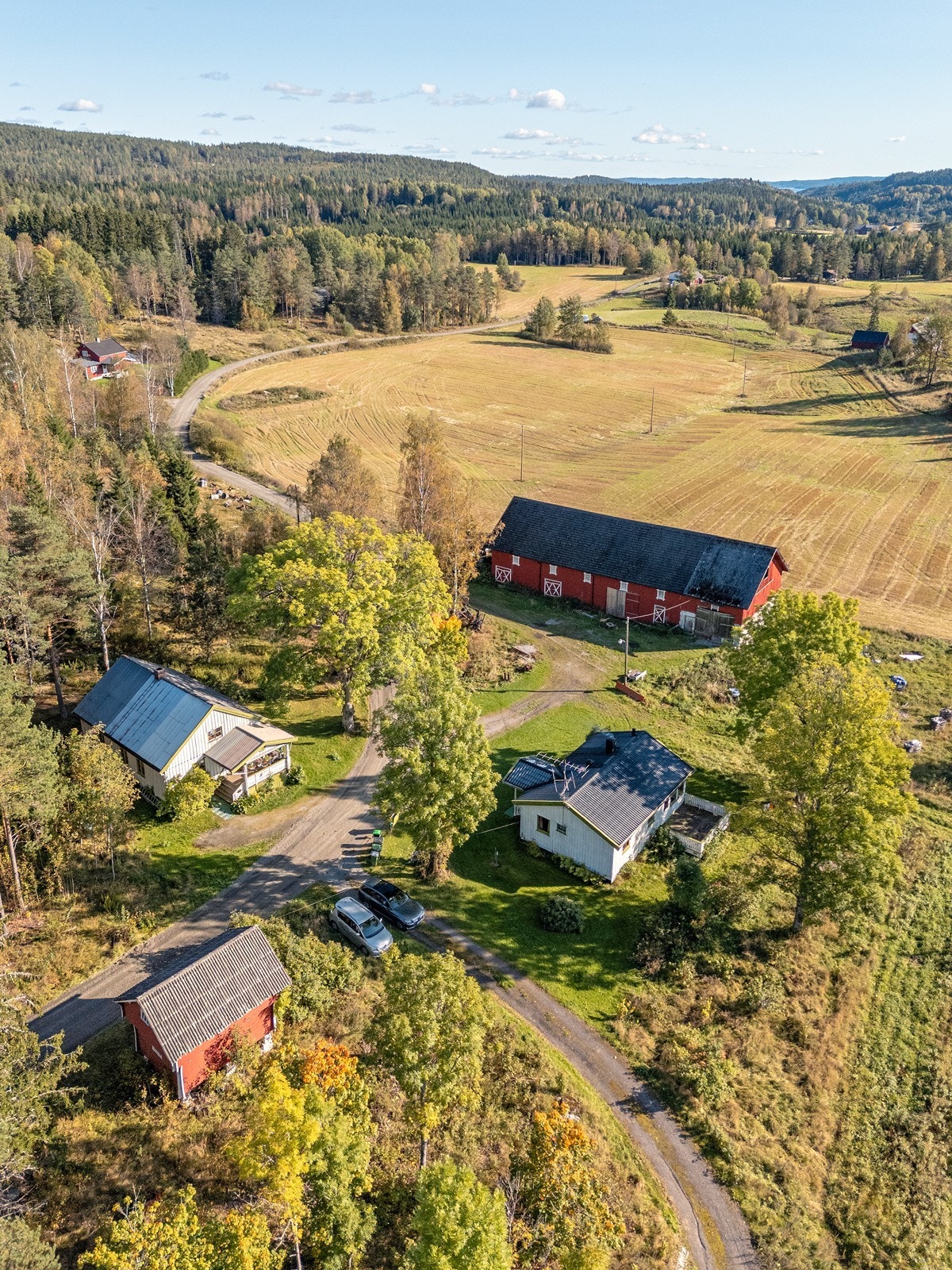 Velkommen til Nedre Dalsroen 236 og 243! Galleribilde