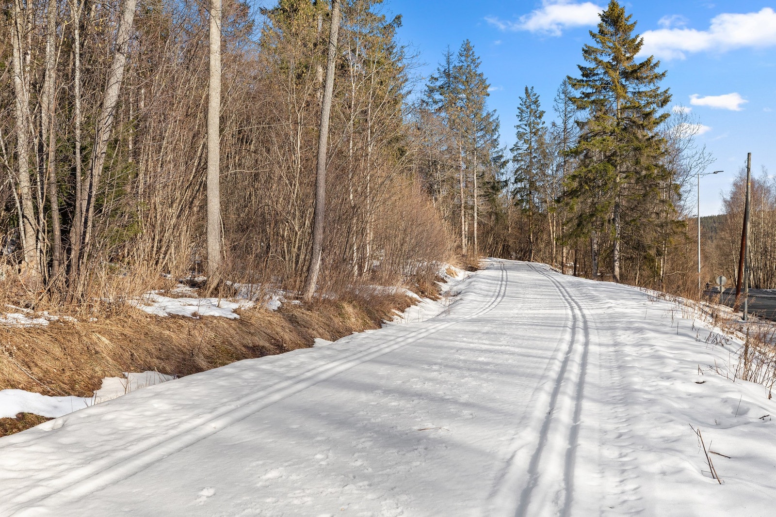 Skiløype på Rykkinn Galleribilde