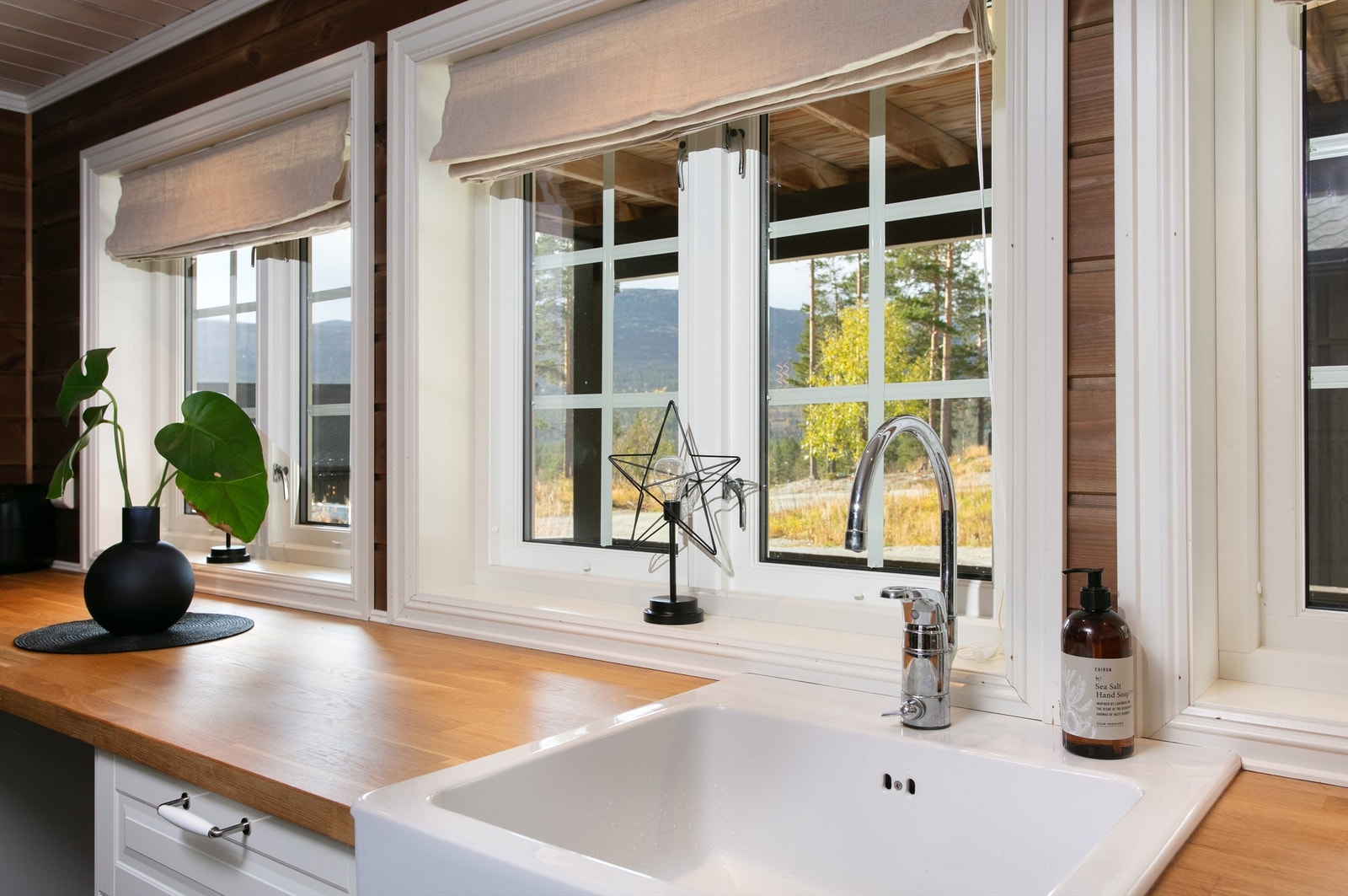 Store vindusflater på kjøkken med utsikt mot terreng Galleribilde