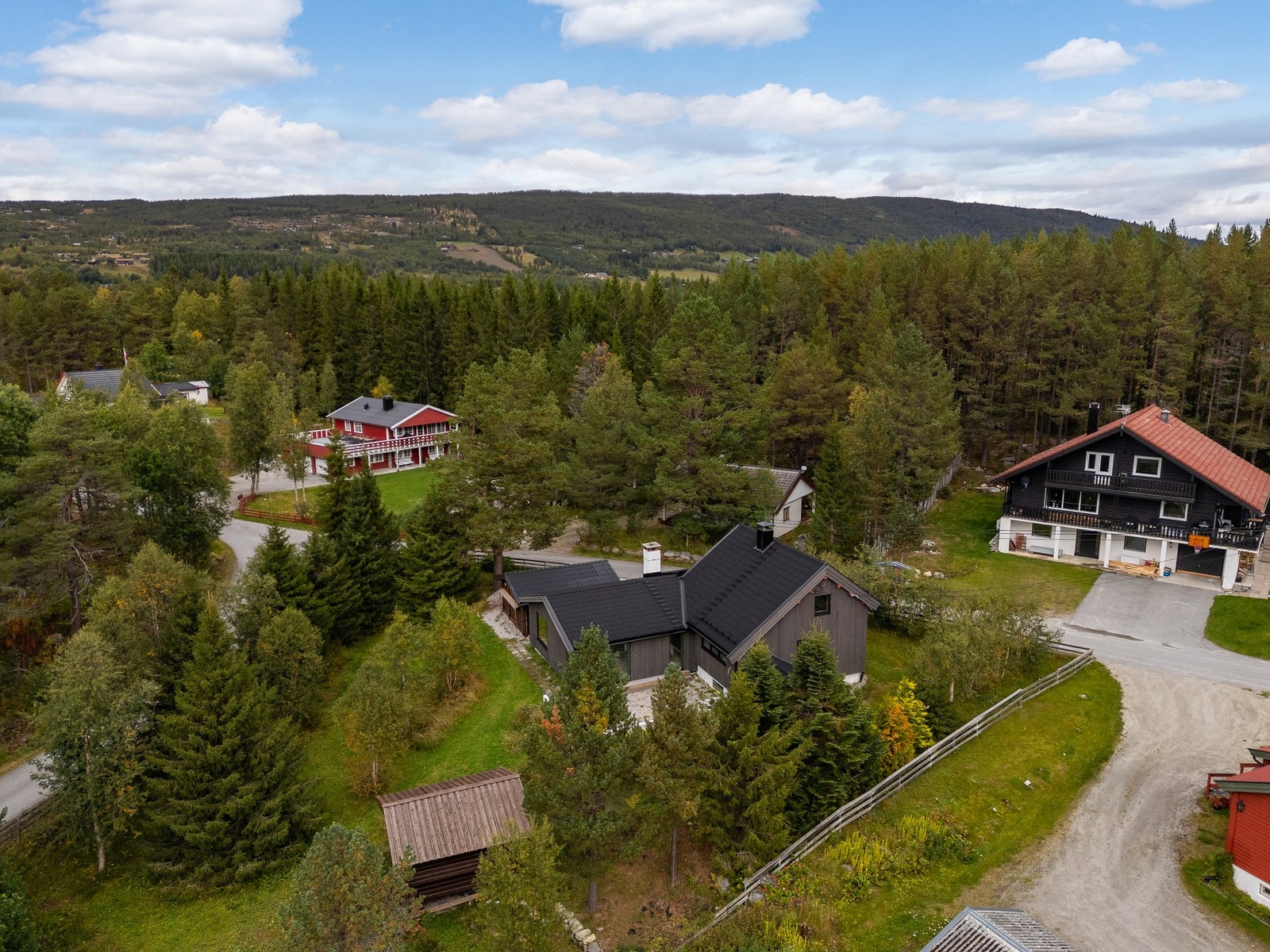 Foto: Terje Bjørnsen Galleribilde