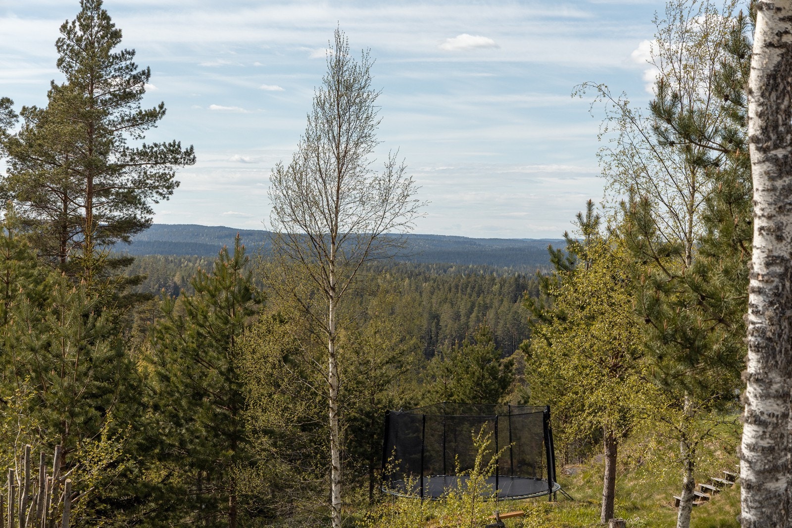 Flott utsyn. Galleribilde