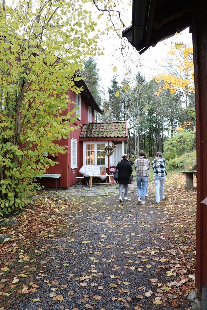 Mange muligheter for hyggelig turer i i nærområdet. Galleribilde