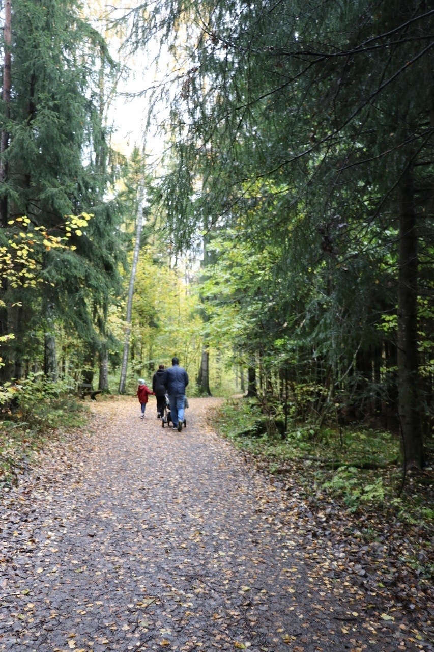 Fine turstier i området året rundt. Galleribilde