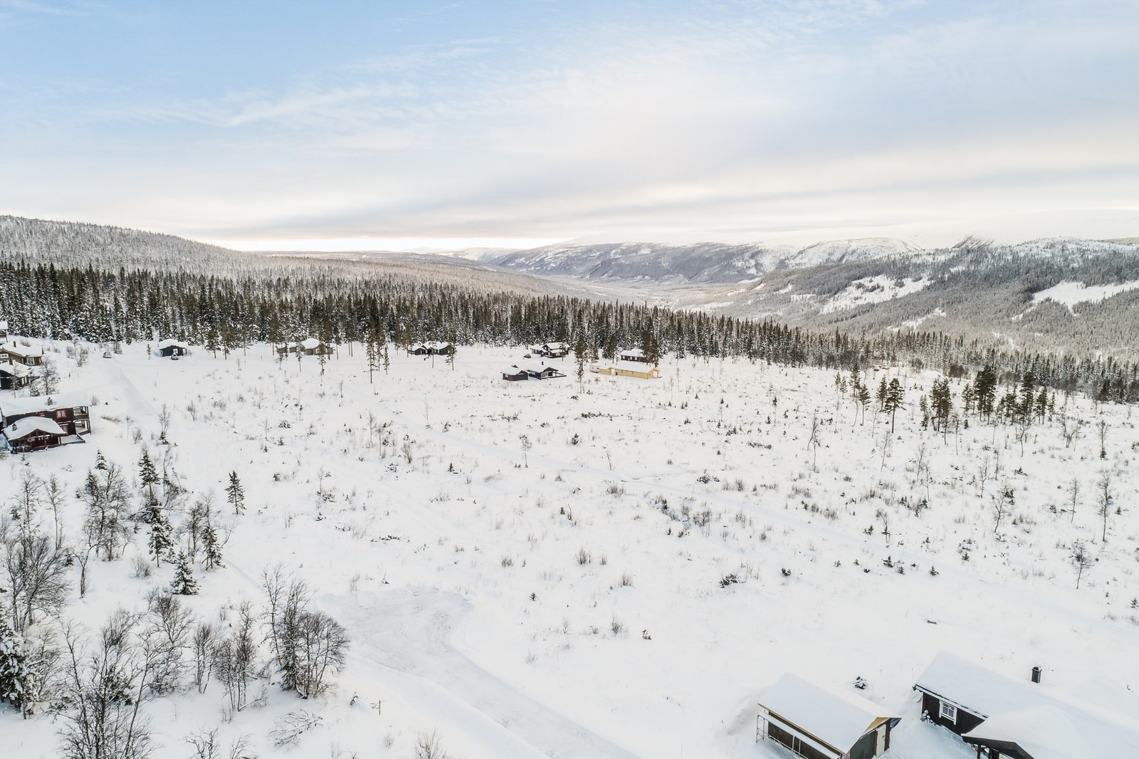 Utsikt mot sør Galleribilde