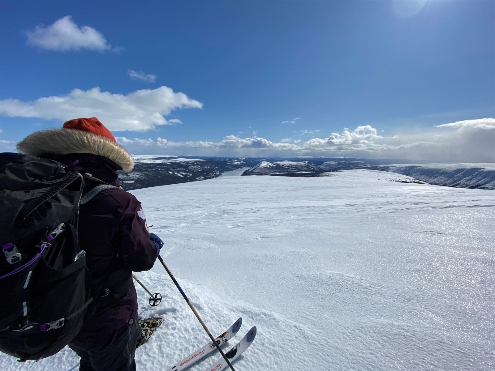 På Tverrfjellet på grensa til Trysilmed blikk sørover mot Skagsvola Galleribilde