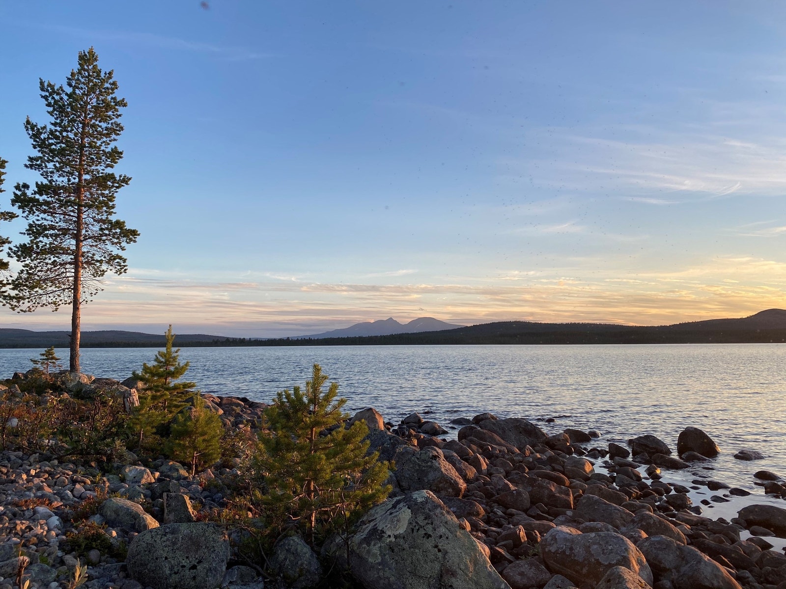 Ved Femunden Galleribilde