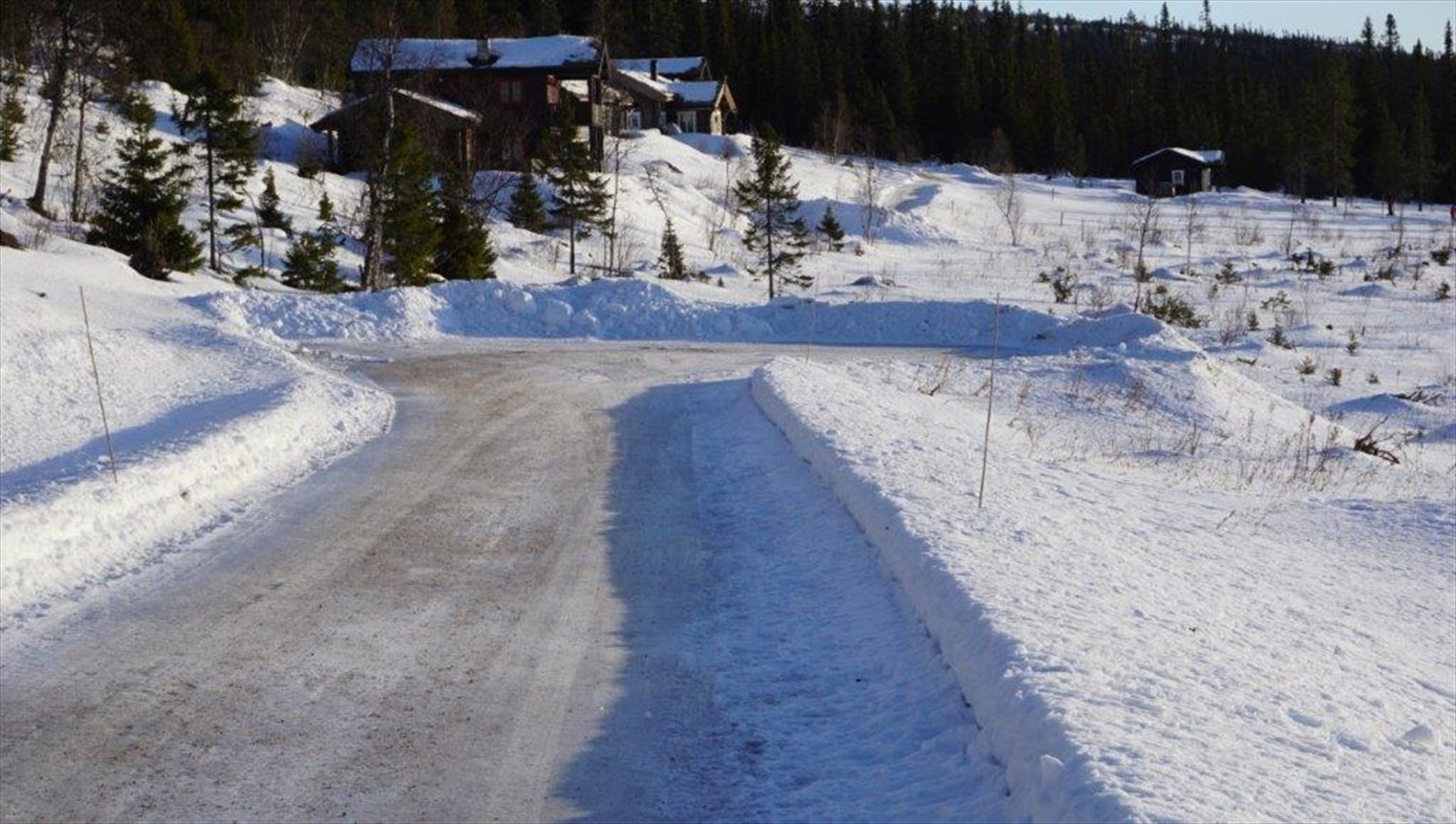 Tomten ligger innerst i blindvei - privat foto Galleribilde