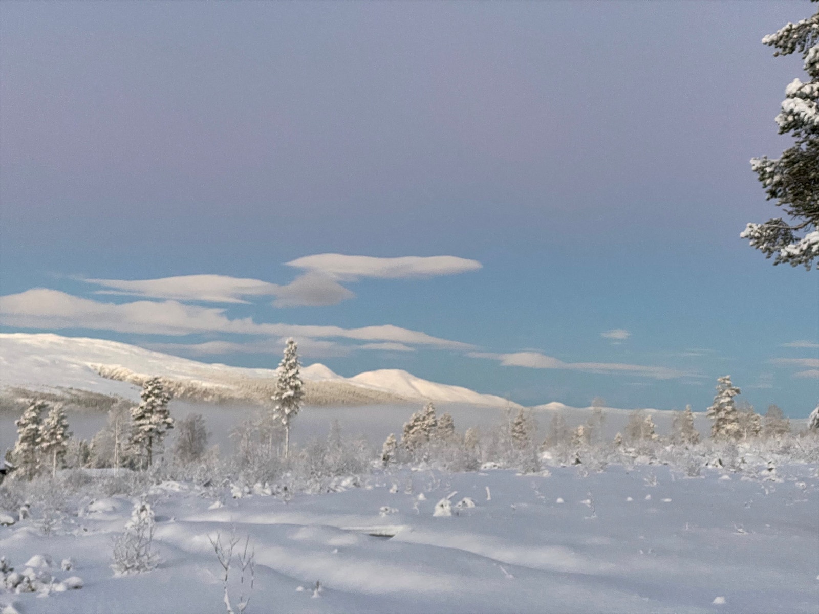 En vakker vinterdag i snøsikre Engerdal Galleribilde