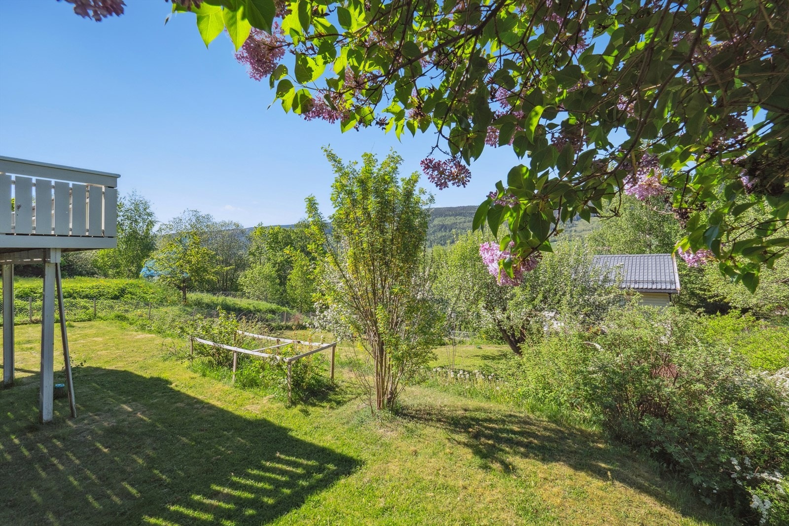 Tomten er pent opparbeidet med plen og beplantning. Galleribilde