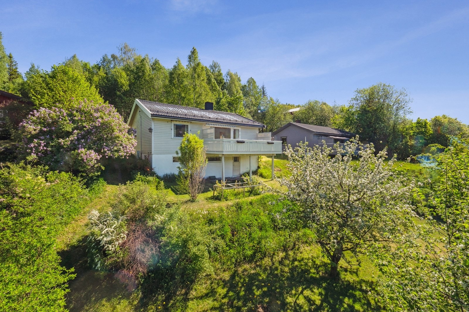 Velkommen til en hyggelig visning! Galleribilde