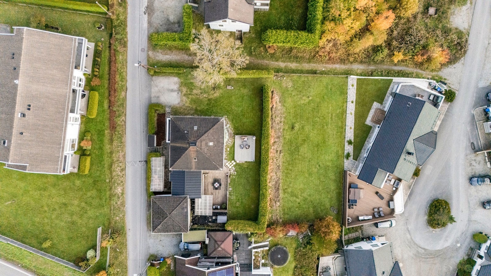 Stor og romslig tomt som er naturlig delt i to med stor hekk Galleribilde