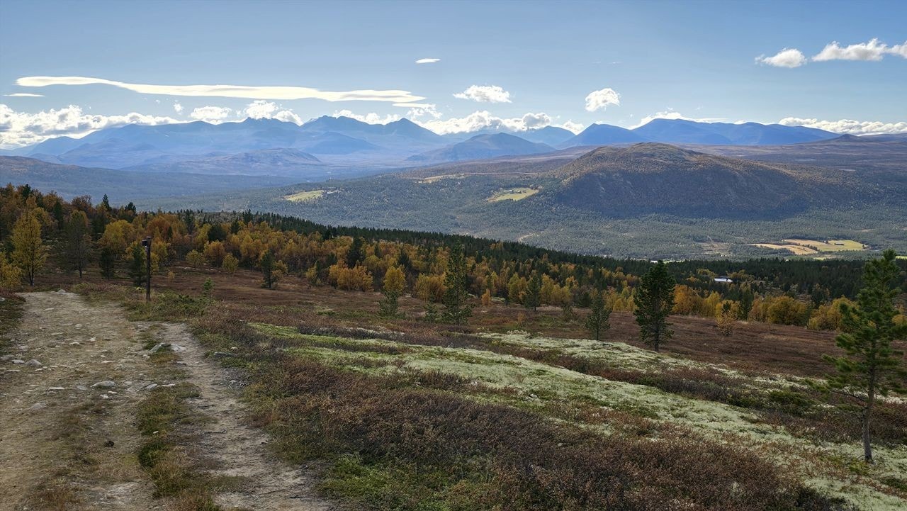 Flott turterreng.jpg Galleribilde