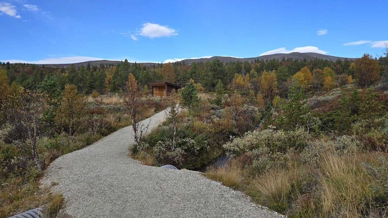 Helsestien med Storhøa i bakgrunnen.jpg Galleribilde
