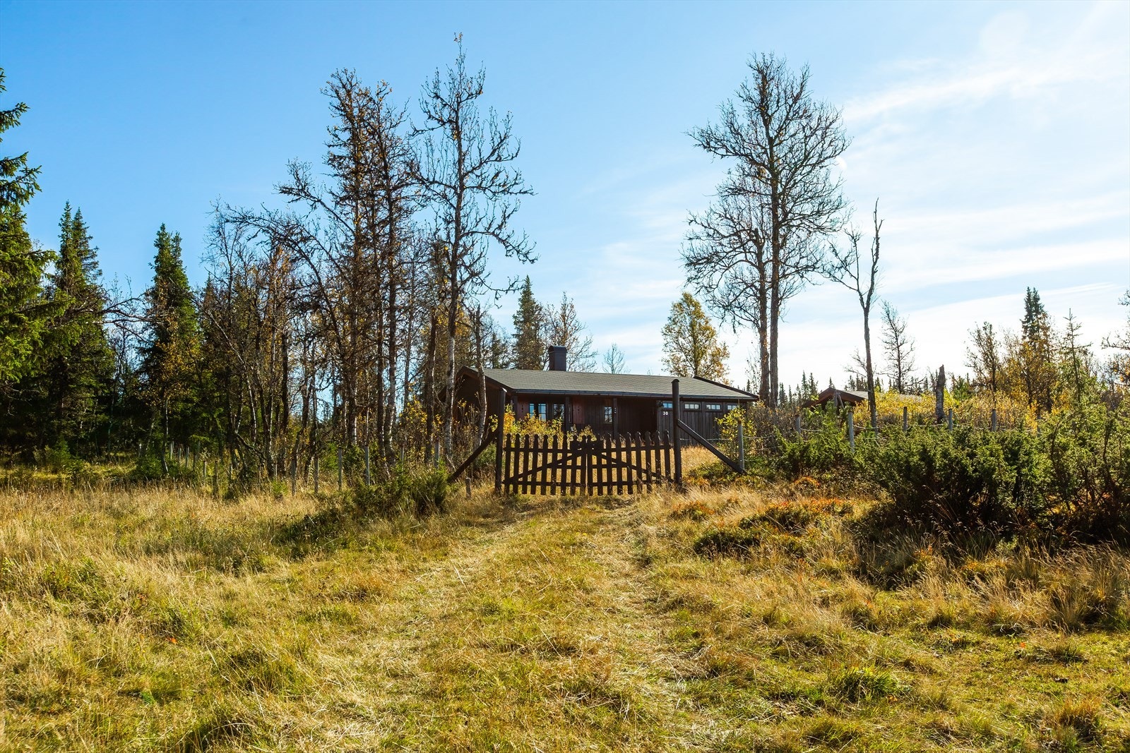 Velkommen til en hyggelig visning! Galleribilde