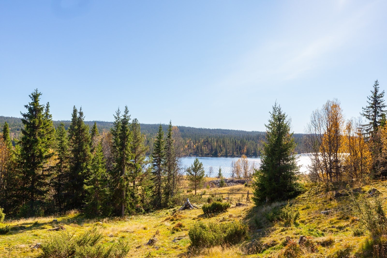 Utsikten strekker seg mot vakre Bråtasæterhøgde og ned til Hølervatnet, og gir deg en naturopplevelse rett fra sofakroken. Galleribilde