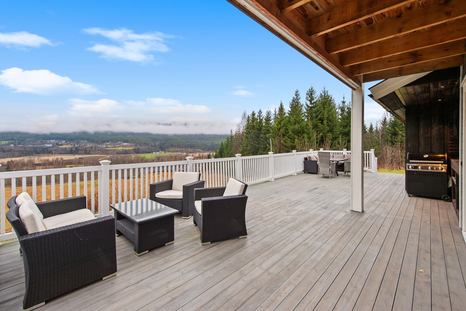 Her har du god plass til å invitere familie og venner til en hyggelig sommerdag. Galleribilde