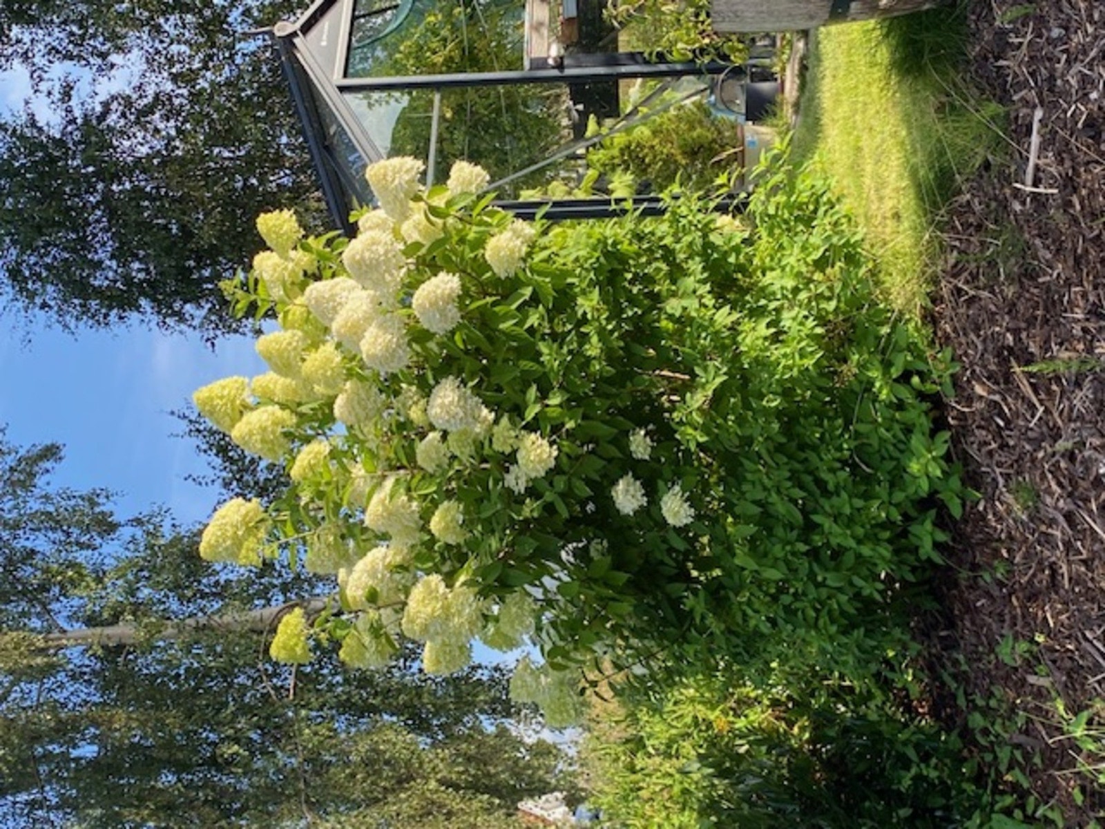 Selgers private foto. Galleribilde