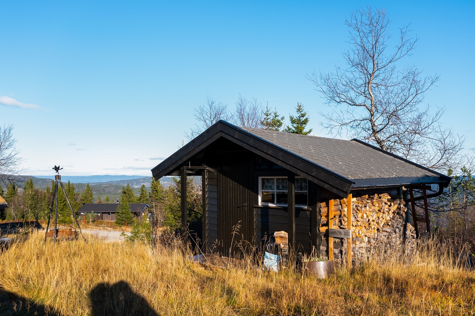 Frittstående vedbod Galleribilde