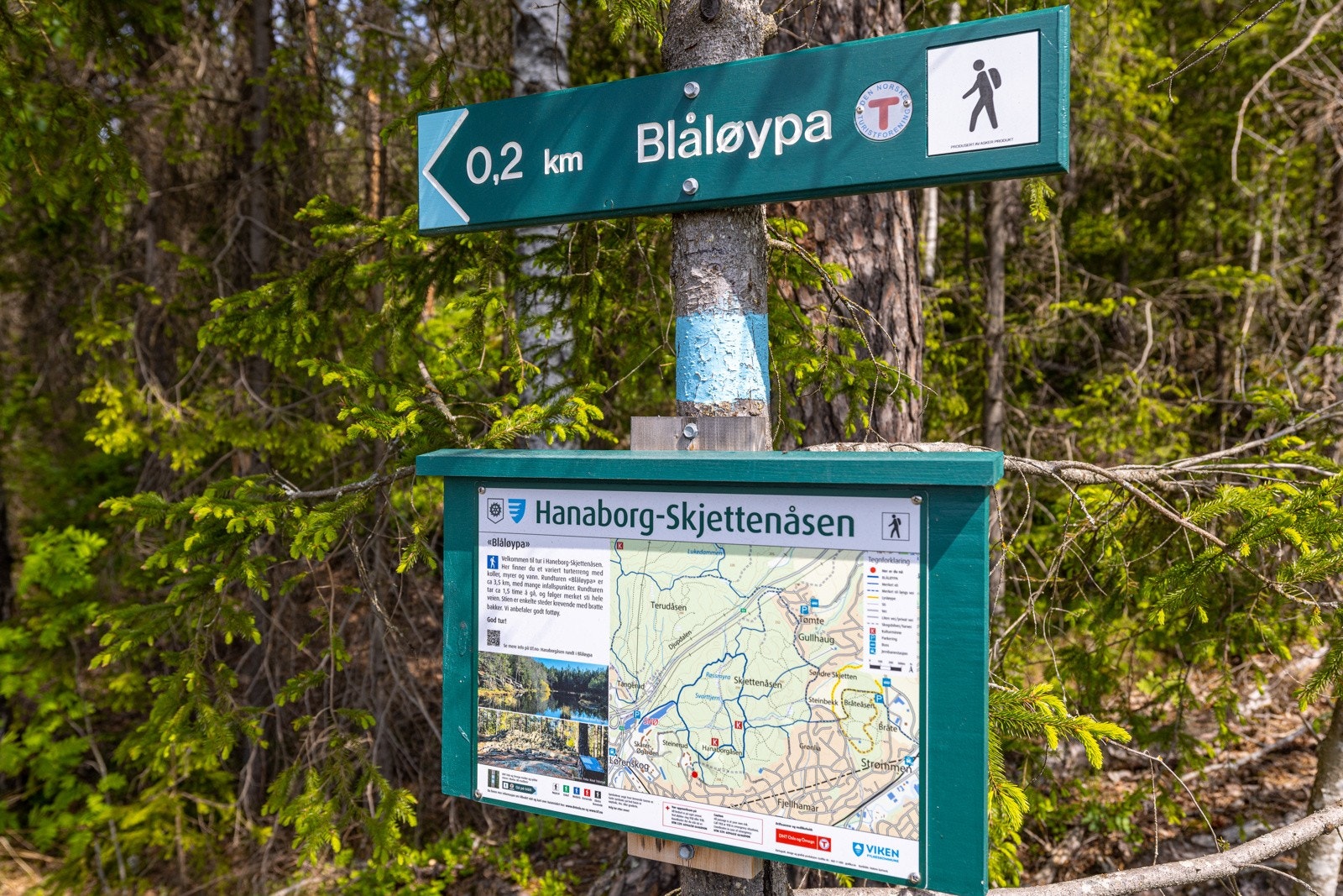 Kort vei til marka! Galleribilde