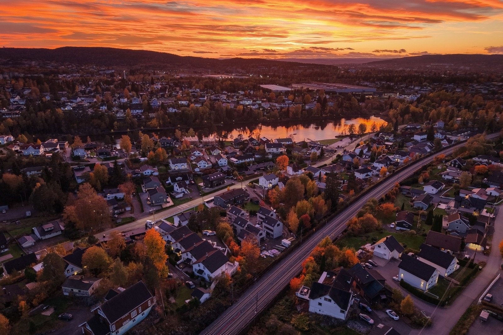 Ormådebilder Galleribilde