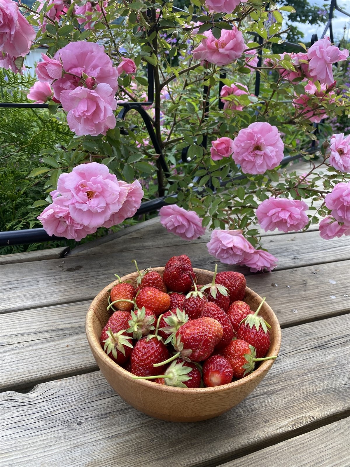 Jordebær fra egen hage smaker alltid godt! (Selgers egne bilder) Galleribilde