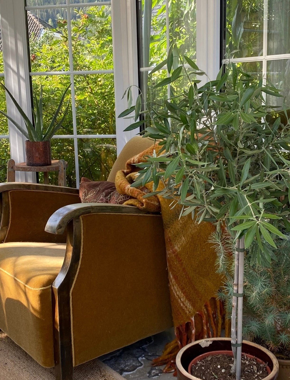 (Selgers egne bilder) Galleribilde