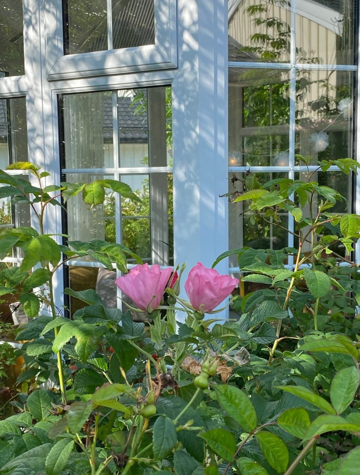 (Selgers egne bilder) Galleribilde