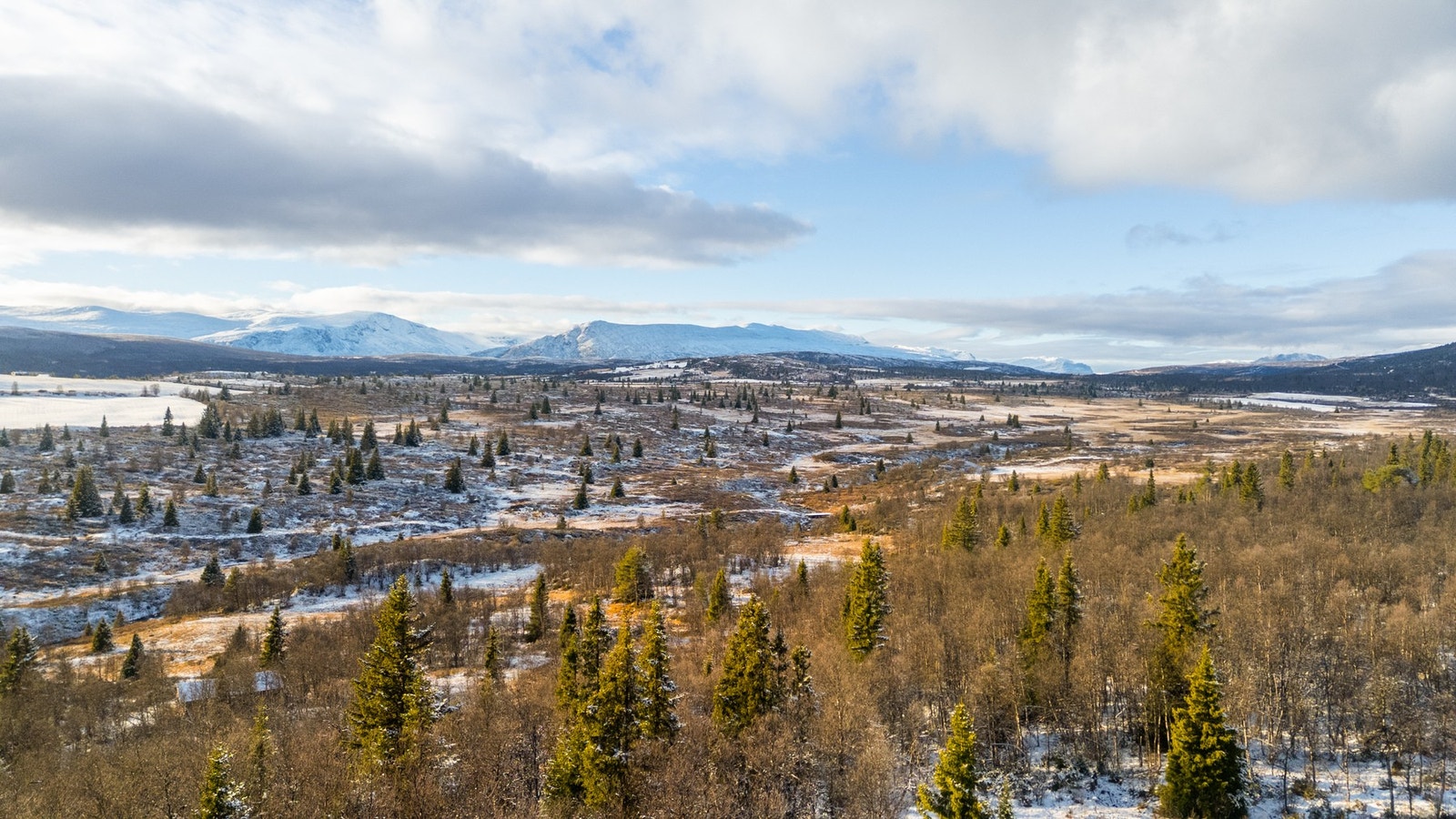 Et rikt turområde alle fire årstider. Skiturer, fotturer, toppturer, sykkelveier, kajakk på vannet Galleribilde