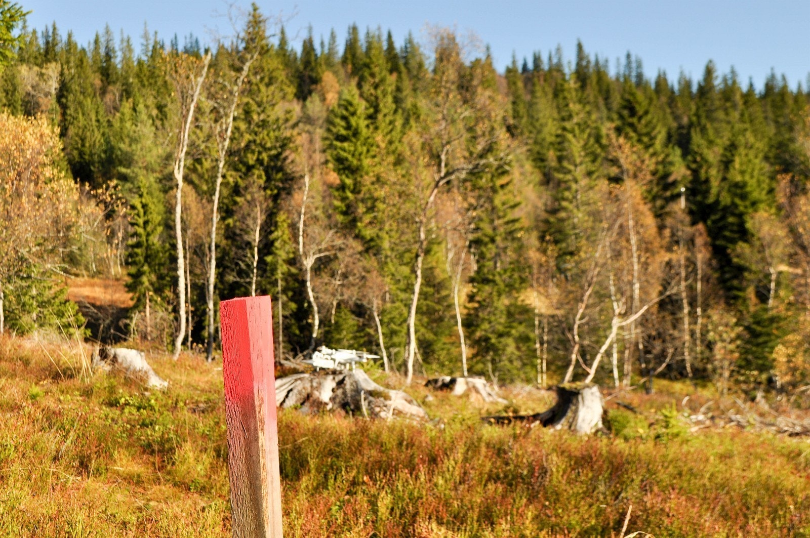 Alle tomtene i hyttefeltet er merket og svært lett å finne frem til om du ønsker å gå på egenvisning Galleribilde