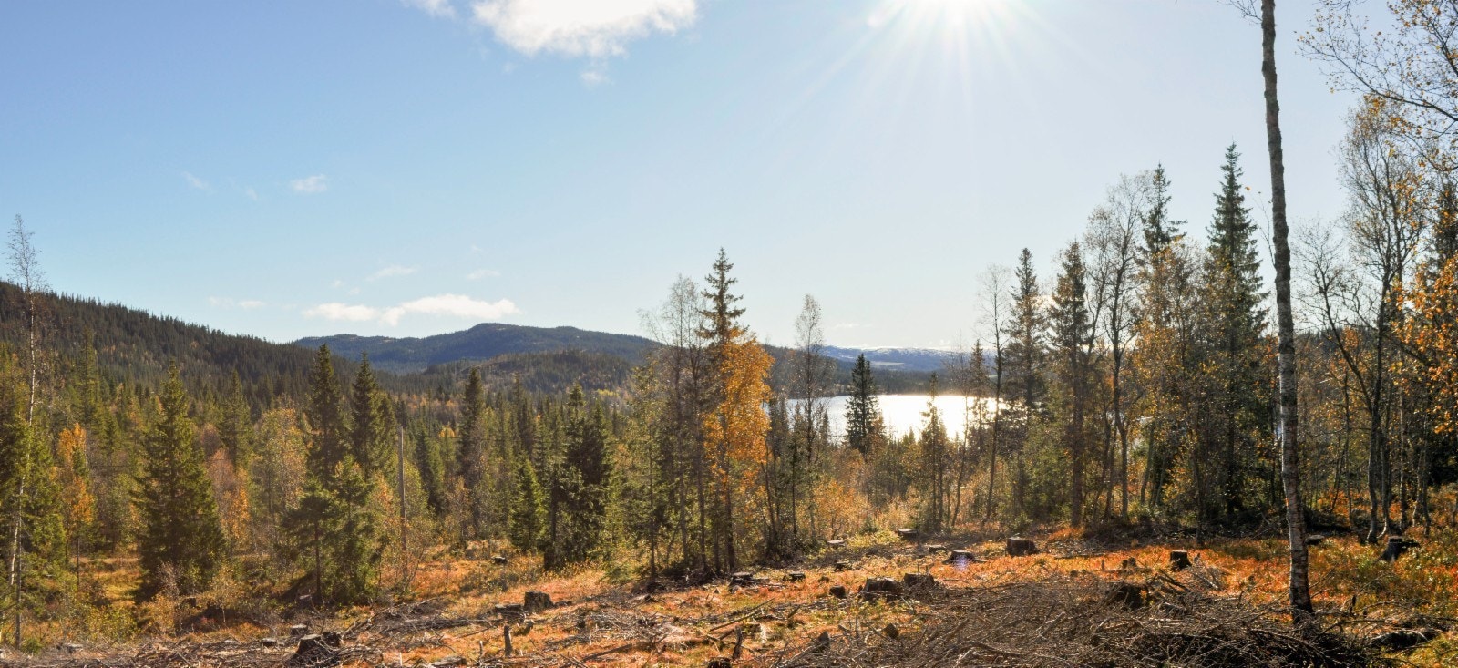 Utsikt mot sør og Ramstadsjøen omtrentlig fra T13 Galleribilde