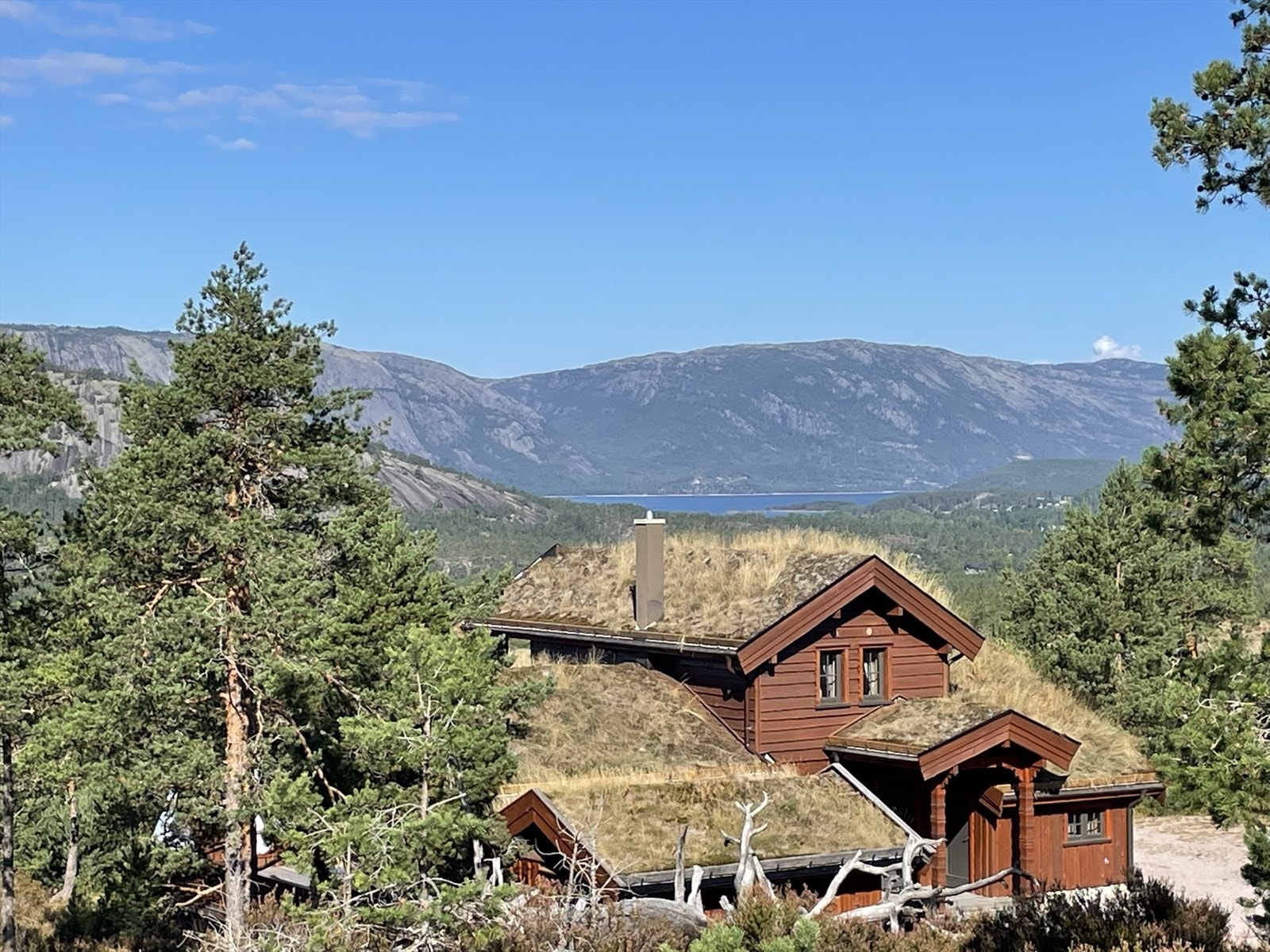 Selgers eget bilde - med Nisser i bakgrunnen Galleribilde
