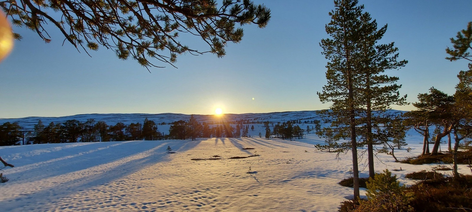 Flott innover fjellet i området Galleribilde