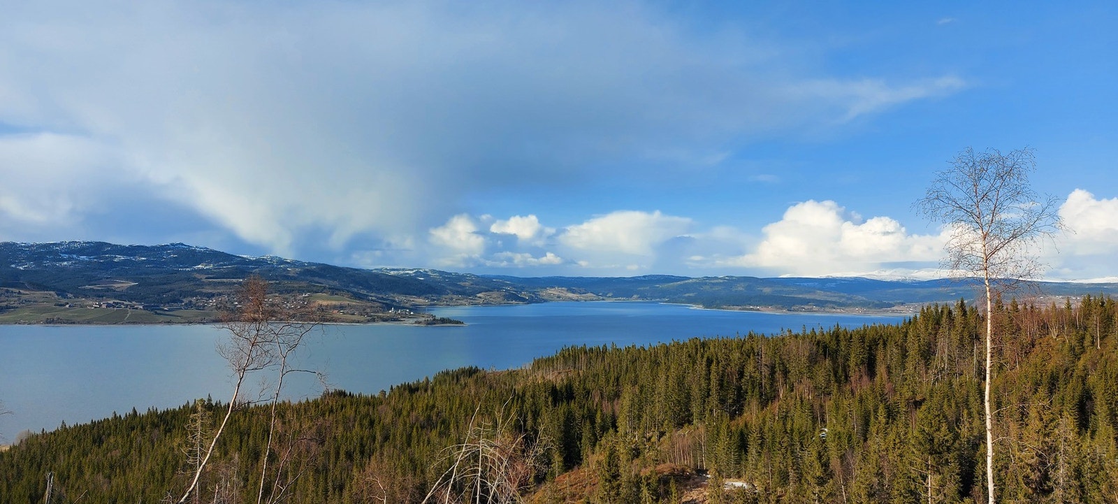 Dronefoto fra området Galleribilde