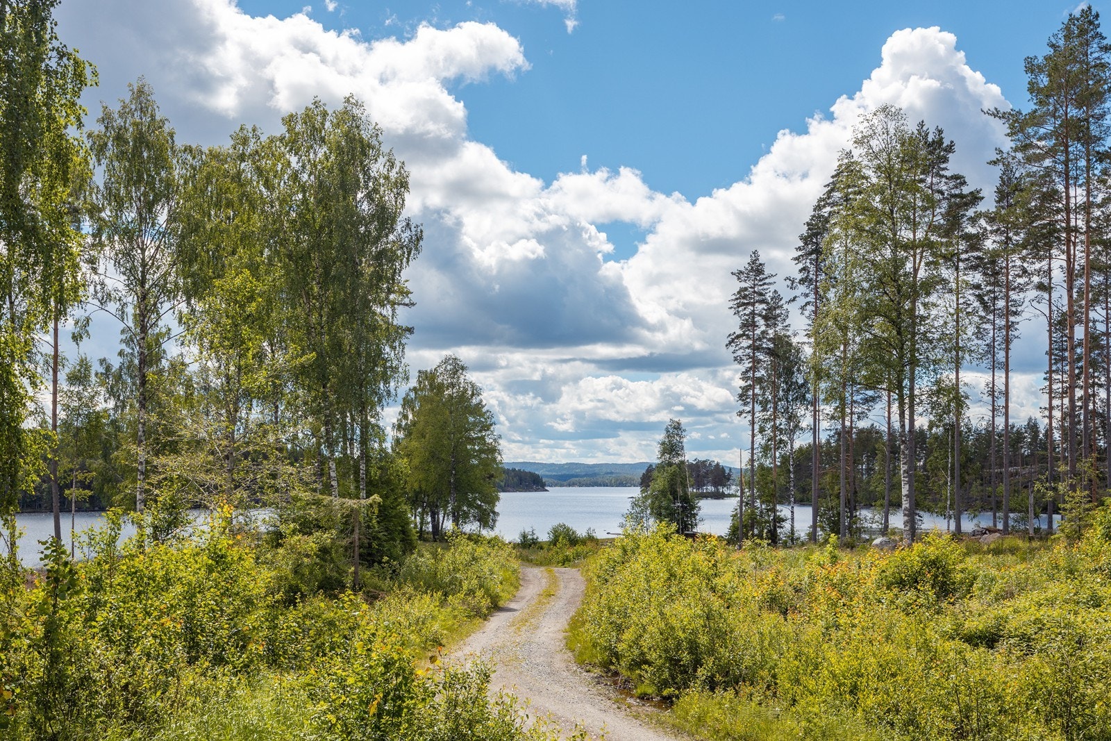 Kort vei ned til vannet via grussti. Galleribilde