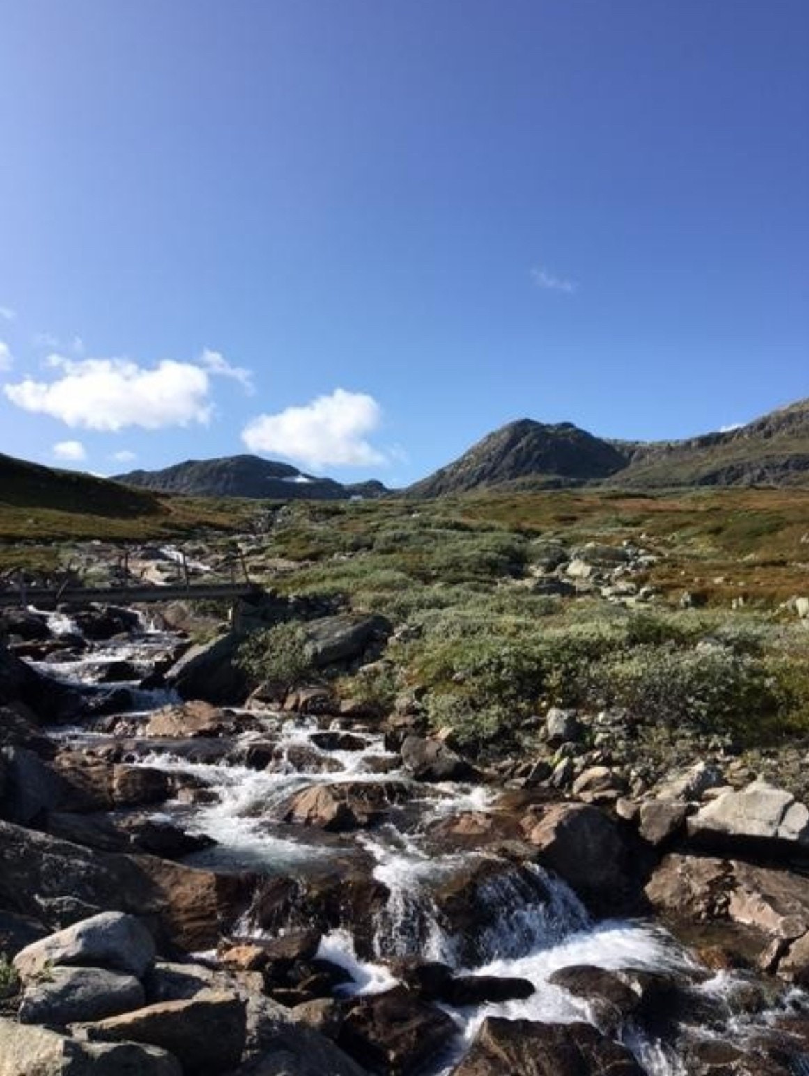 Magisk flott natur! Galleribilde