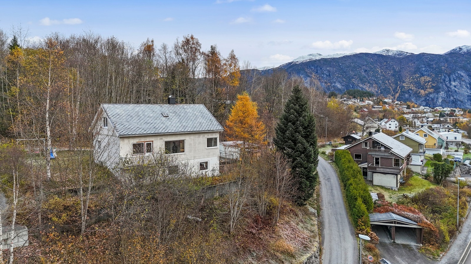 Tomten går ned til veien, med skrående terreng Galleribilde