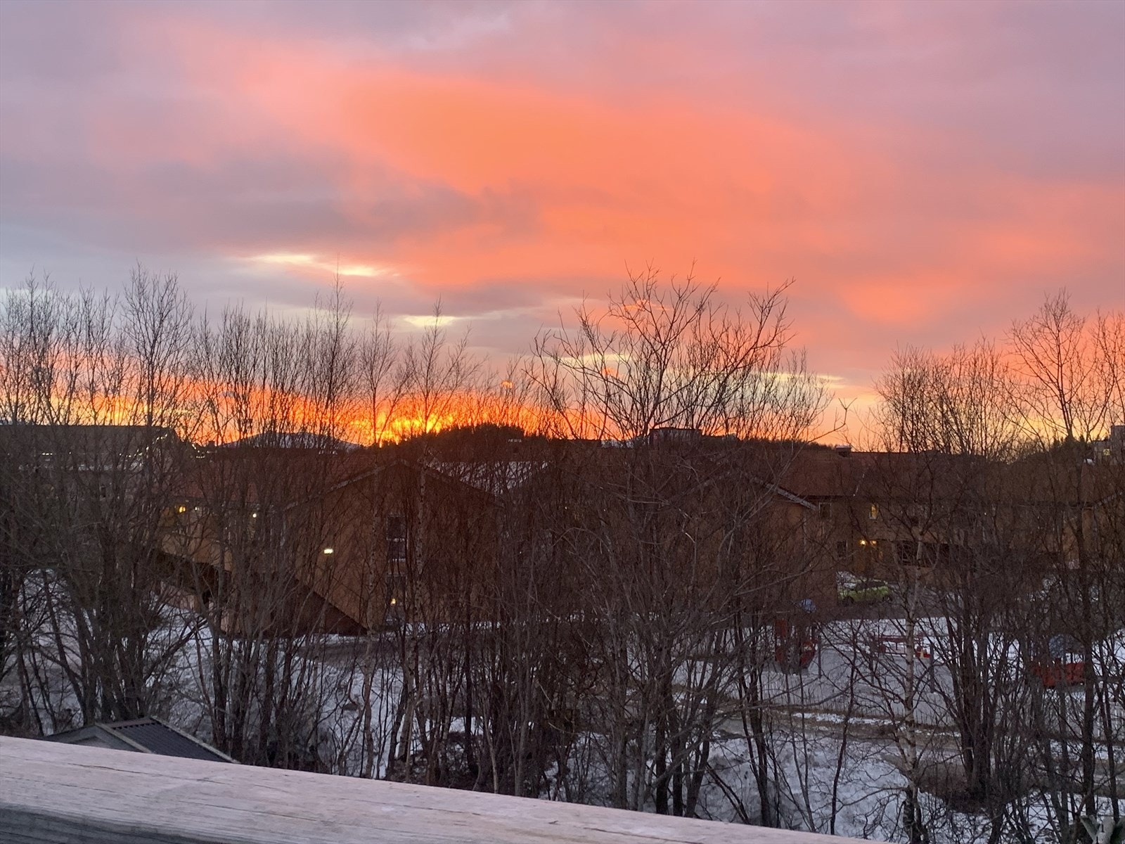 Privat bilde. Galleribilde