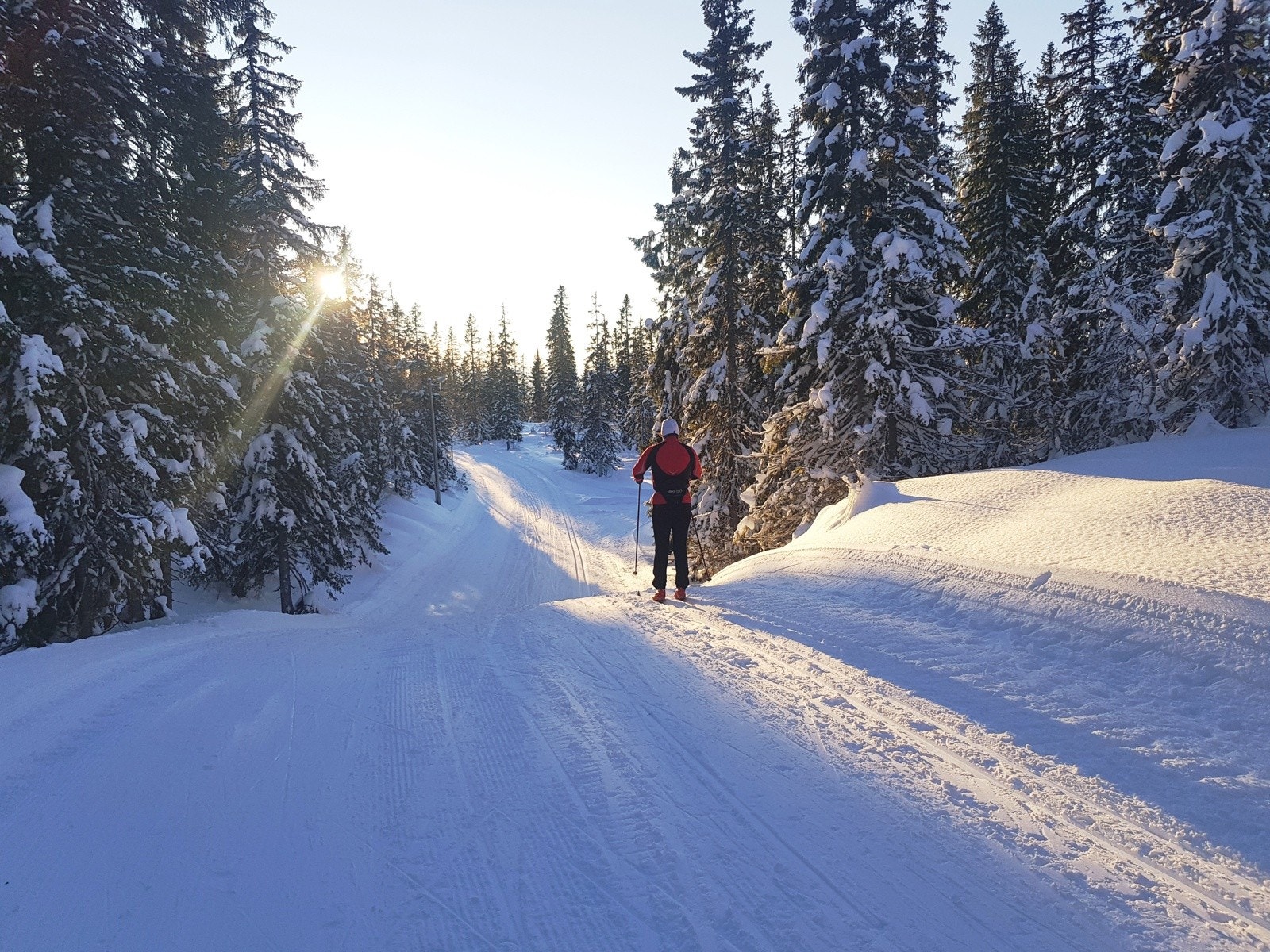 Kort avstand bort til Lundåsen og Saupstad skisenter Galleribilde