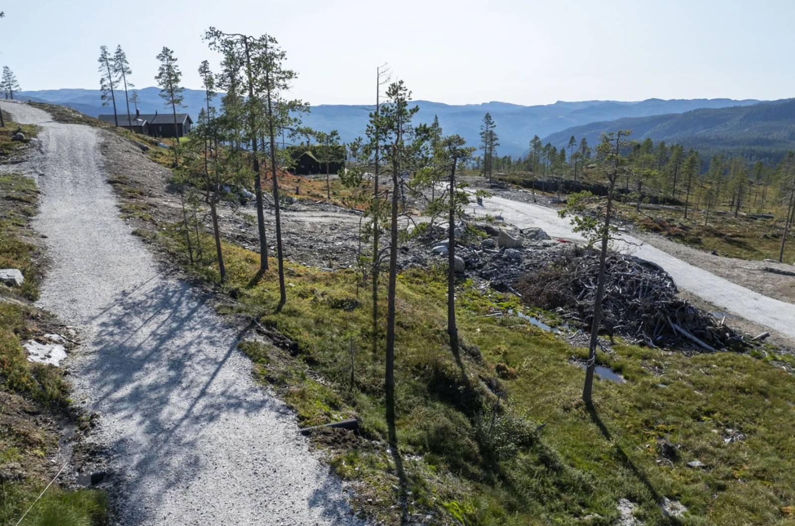 Flott utsikt mot fjellene. Galleribilde