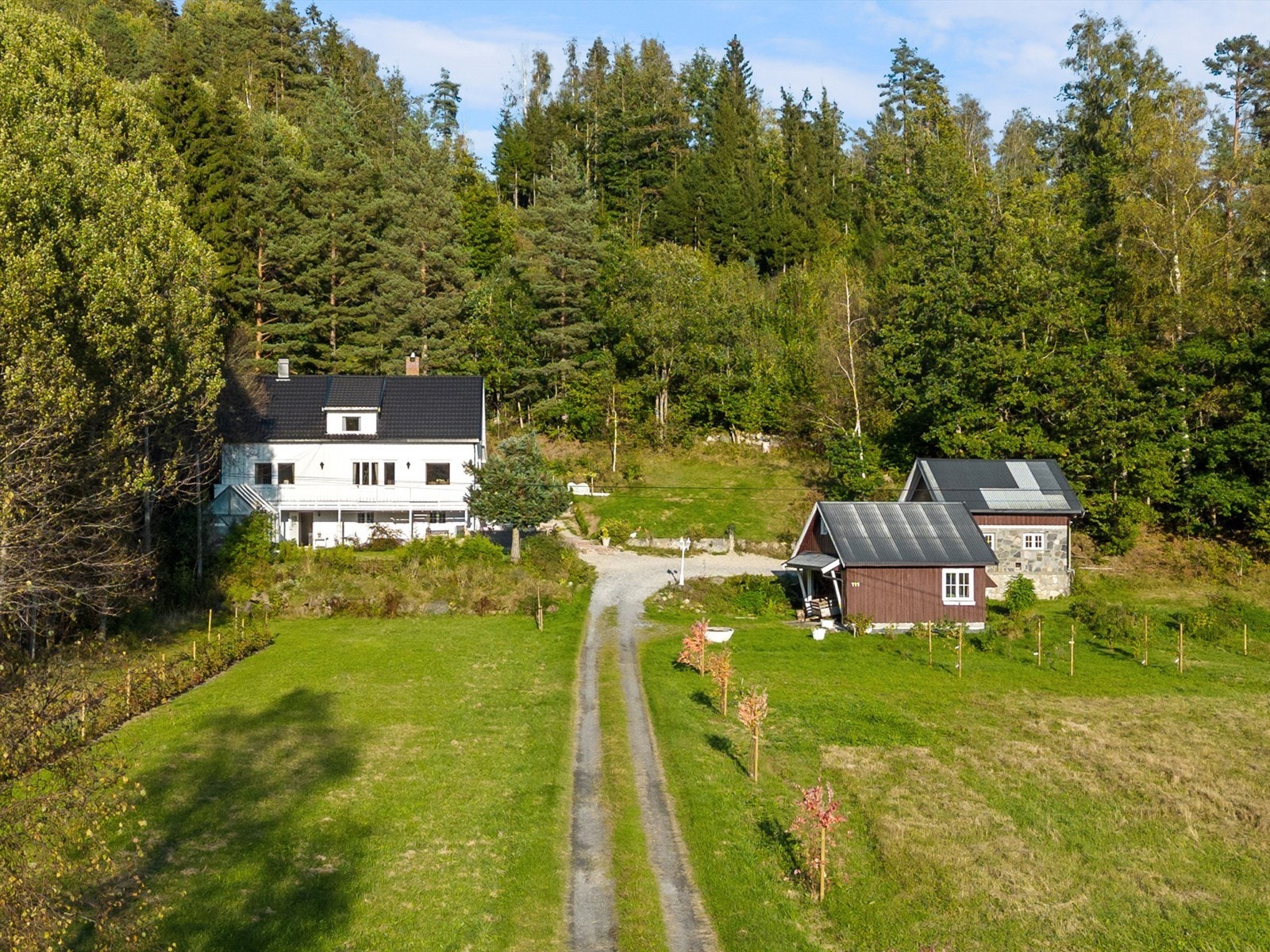 Nydelig allé opp til gårdsplassen hvor det er god plass til flere biler Galleribilde