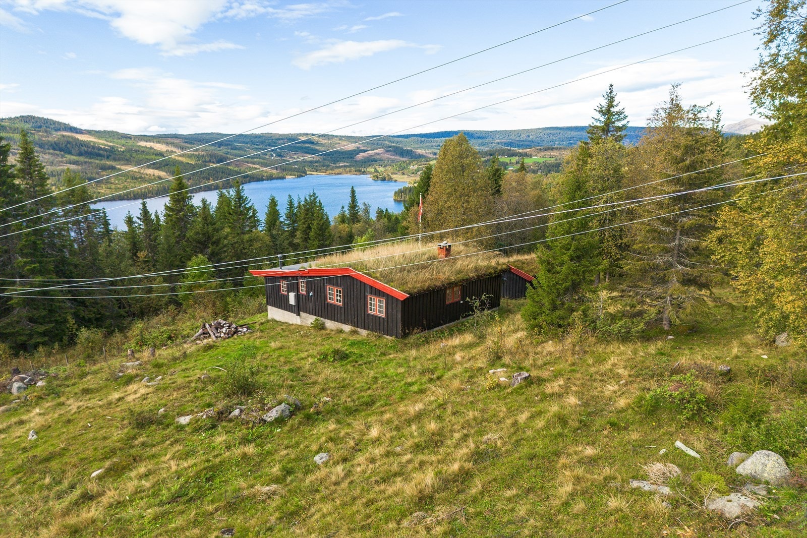 Velkommen til en hyggelig visning! Galleribilde