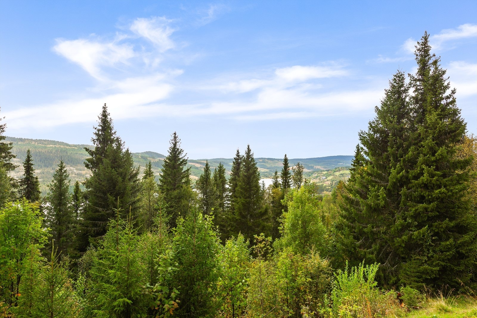 En sykkeltur rundt Steinsetfjorden kan anbefales. Turer til Goaren og til Kruk med Jutulknatten og Smørlifjell gir fine naturopplevelser, det samme gjør Jomfruslettfjell og Spåtind. Galleribilde