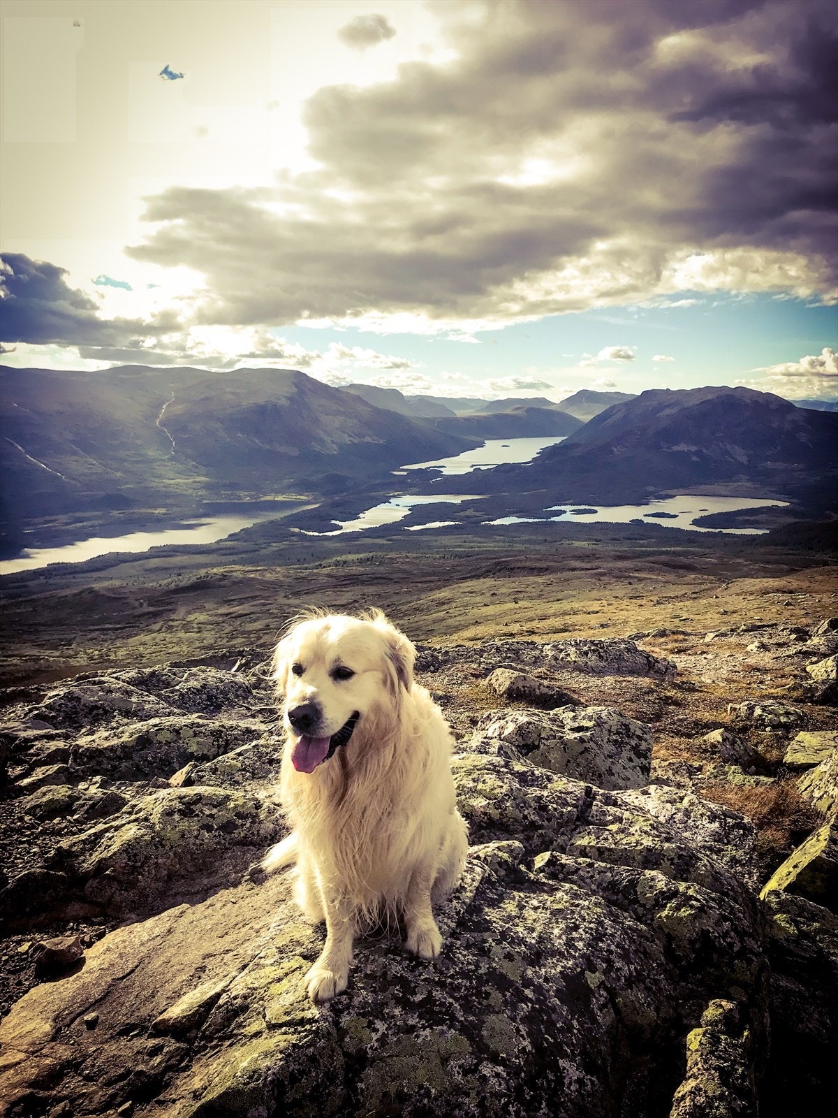 En tur til Grønsennknippa gir fantastisk utsikt utover området og inn i Jotunheimen. Galleribilde