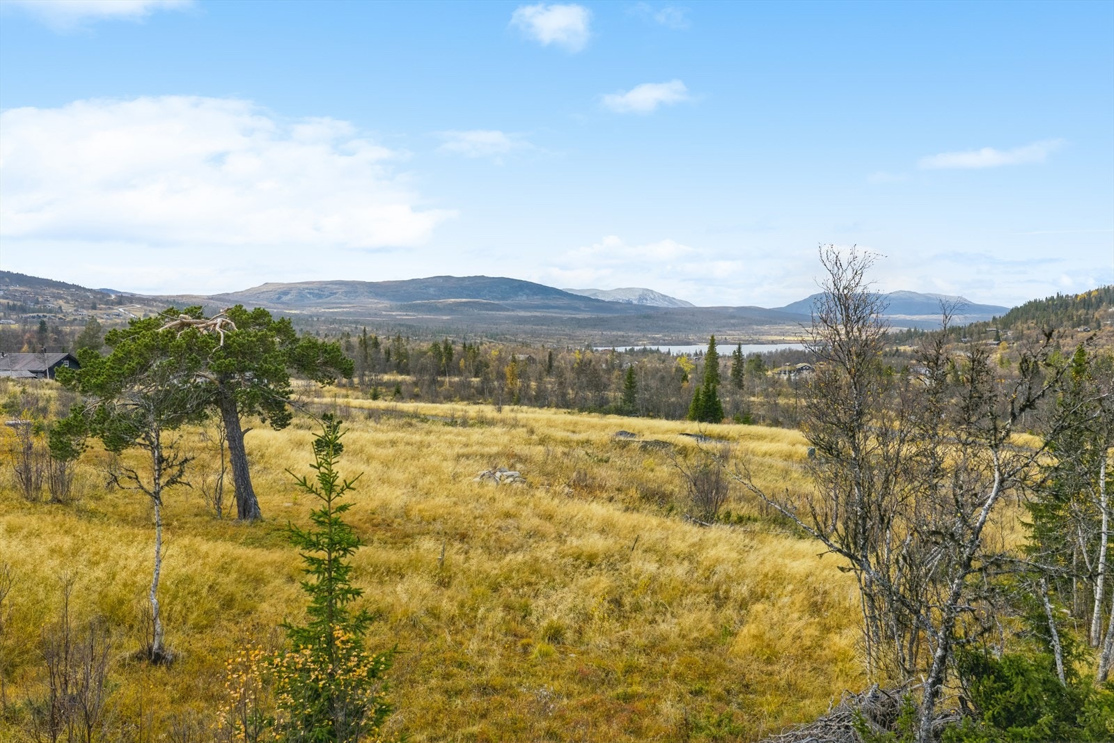 Velkommen til fjells, og en hyggelig visning! Galleribilde