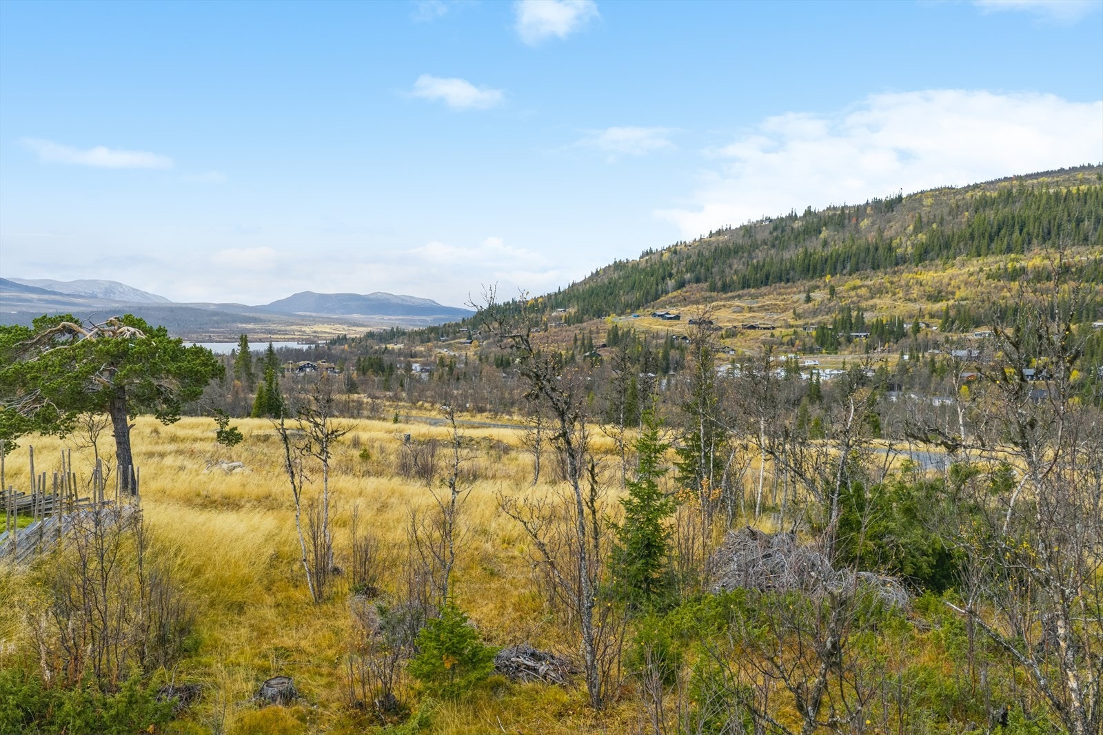 Her kan en gå i lett og variert terreng, eller opp på topper med vid utsikt. Ta gjerne en sykkeltur på fine stølsveier og spennende stier eller prøv fiskelykken i et vakkert fjellvann. Galleribilde
