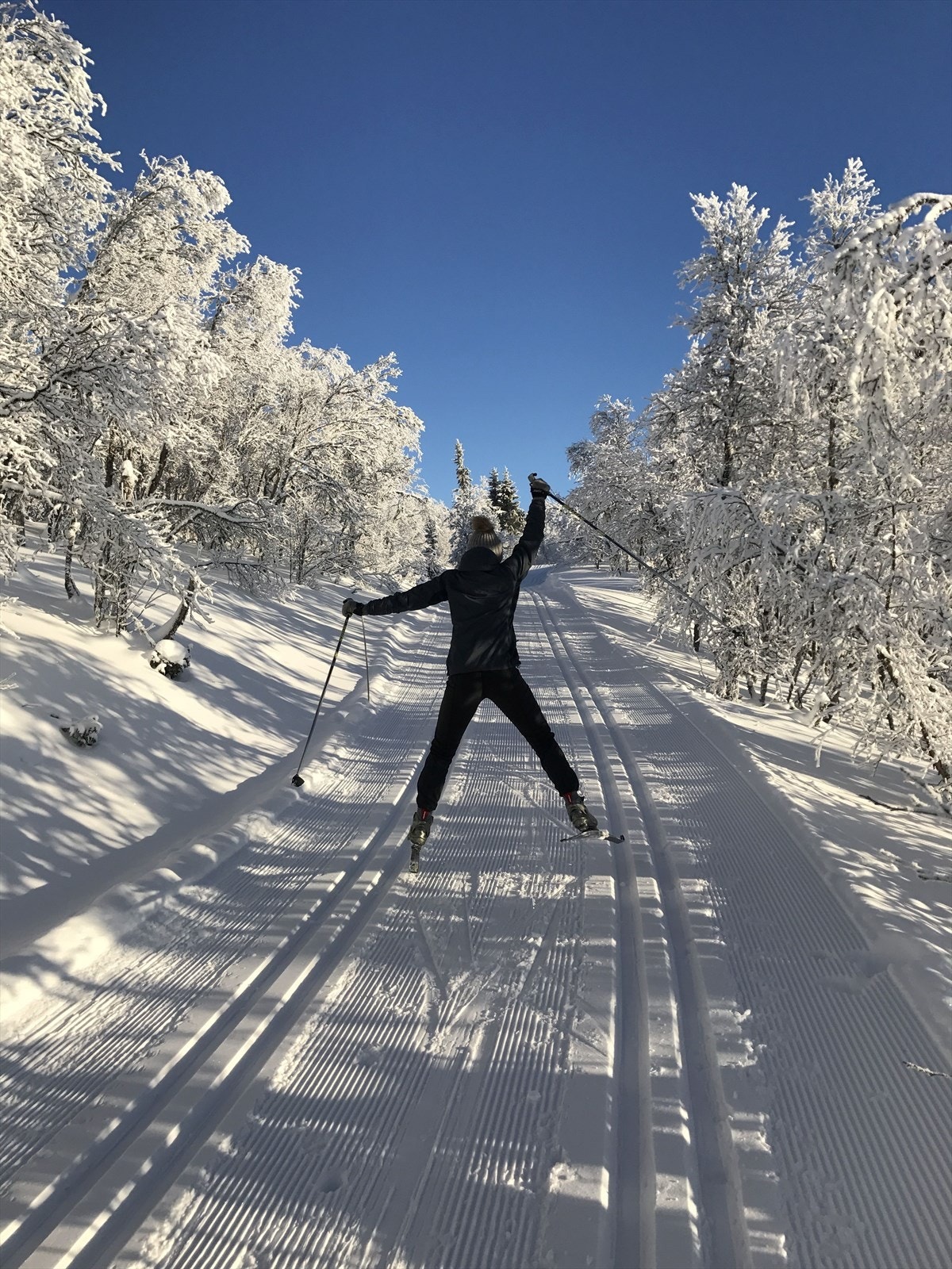 Men de mange turmulighetene i området et det bare å finne fram skiene! Galleribilde