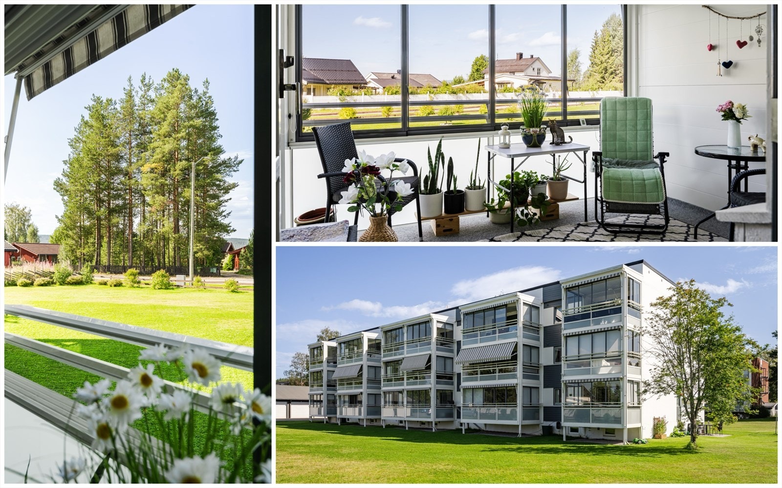 Velkommen til Fjeldset og Grottaveien 10 B! Galleribilde