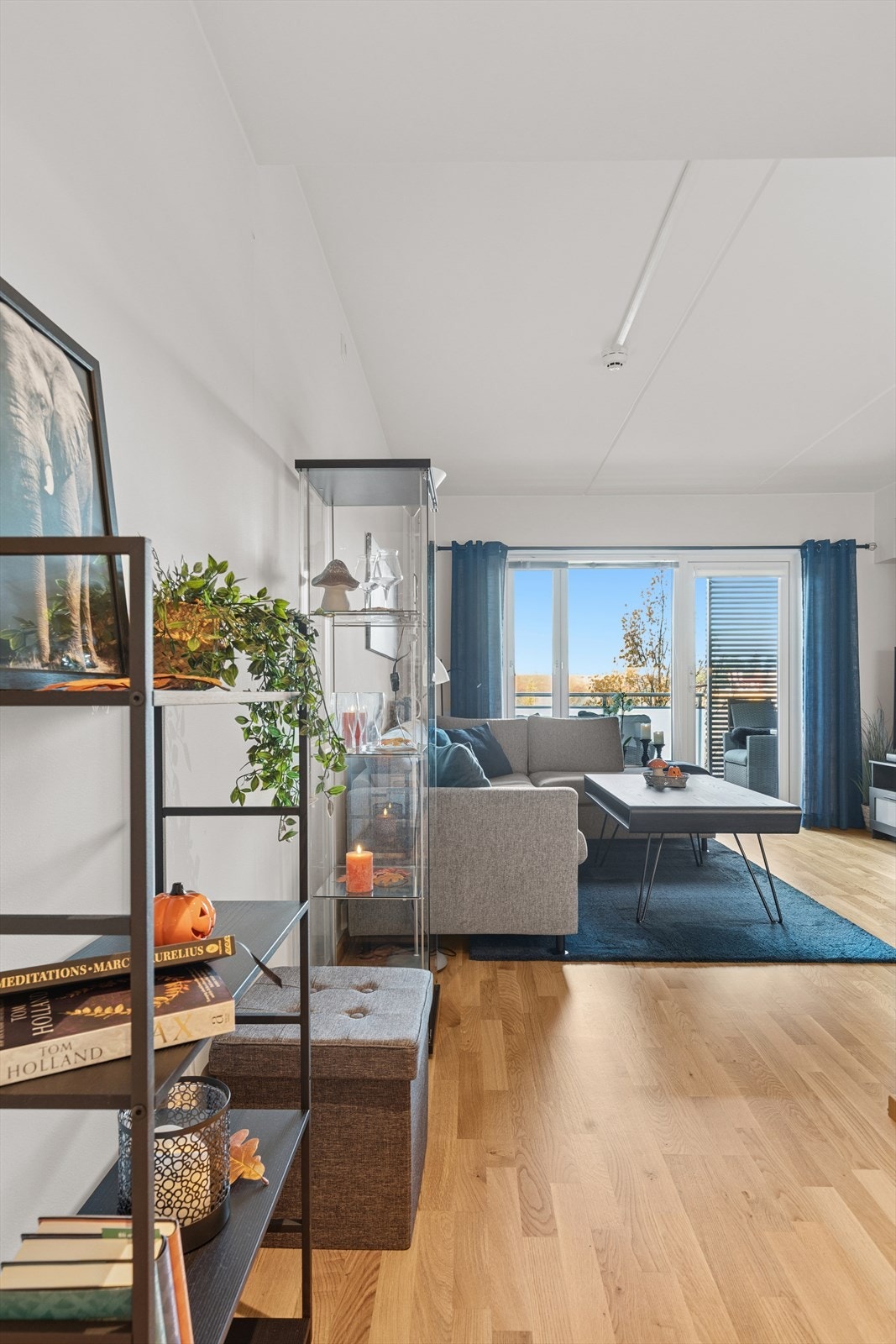 Gang/stue Galleribilde