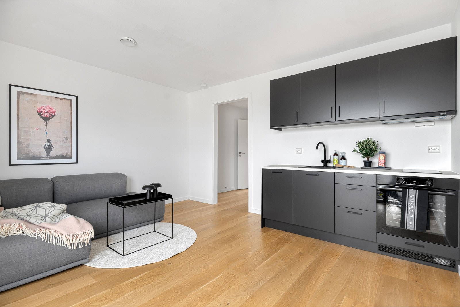 Nytt Epoq kjøkken med integrerte hvitevarer (stekeovn, induksjon platetopp, oppvaskmaskin og ventilator (kullfilter) i praktikantdelen Galleribilde